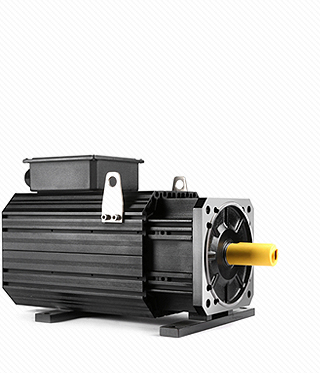 Servo motor series