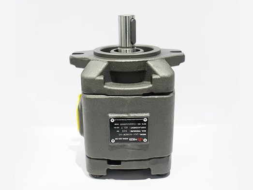 JG1 Internal gear pump for injection machine